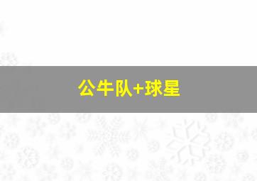 公牛队 球星